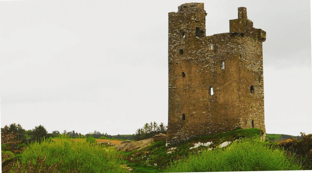 Castledonovan Castle_background_Flip Castle Donovan, Drimoleague