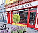 Fields_Skibb_Daniel_130